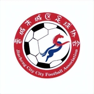 晋城第8届足球比赛,2024年山西省足球联赛赛程表