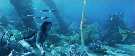 阿凡达2讽刺日本捕鲸船照片,阿凡达2讽刺日本捕鲸镜头