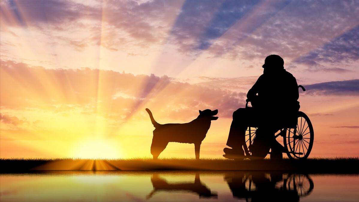 存款养老和交社保养老哪个划算,灵活就业人员买社保还是存款养老