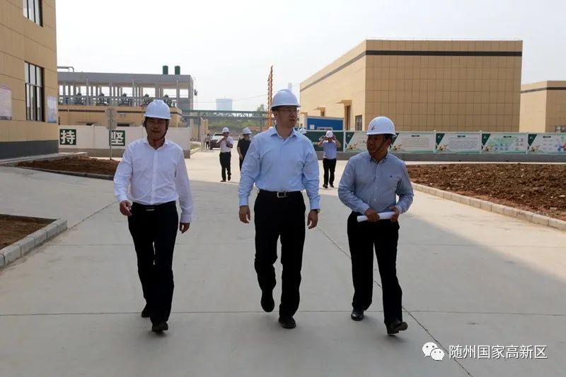 蝶变跃升是什么,蝶变跃升五大行动