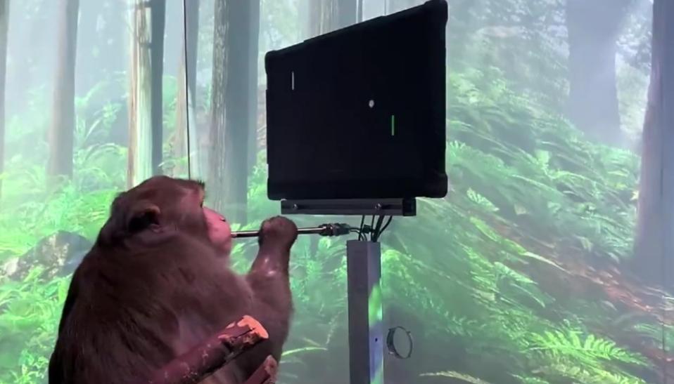 脑科学龙头企业,脑科学龙头股