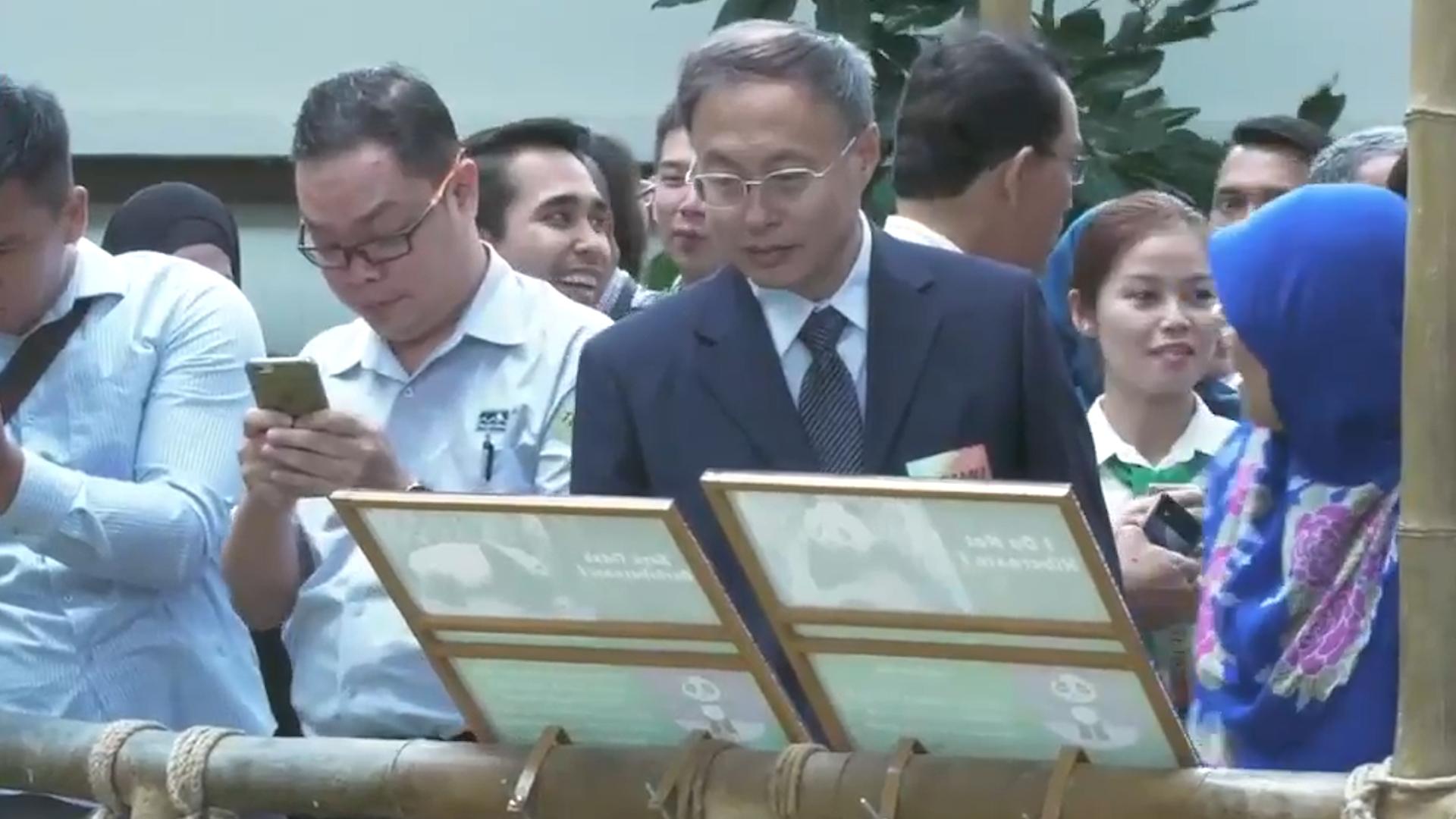 熊猫因为太能吃，1年花费400万，竟然被别国“退货”？