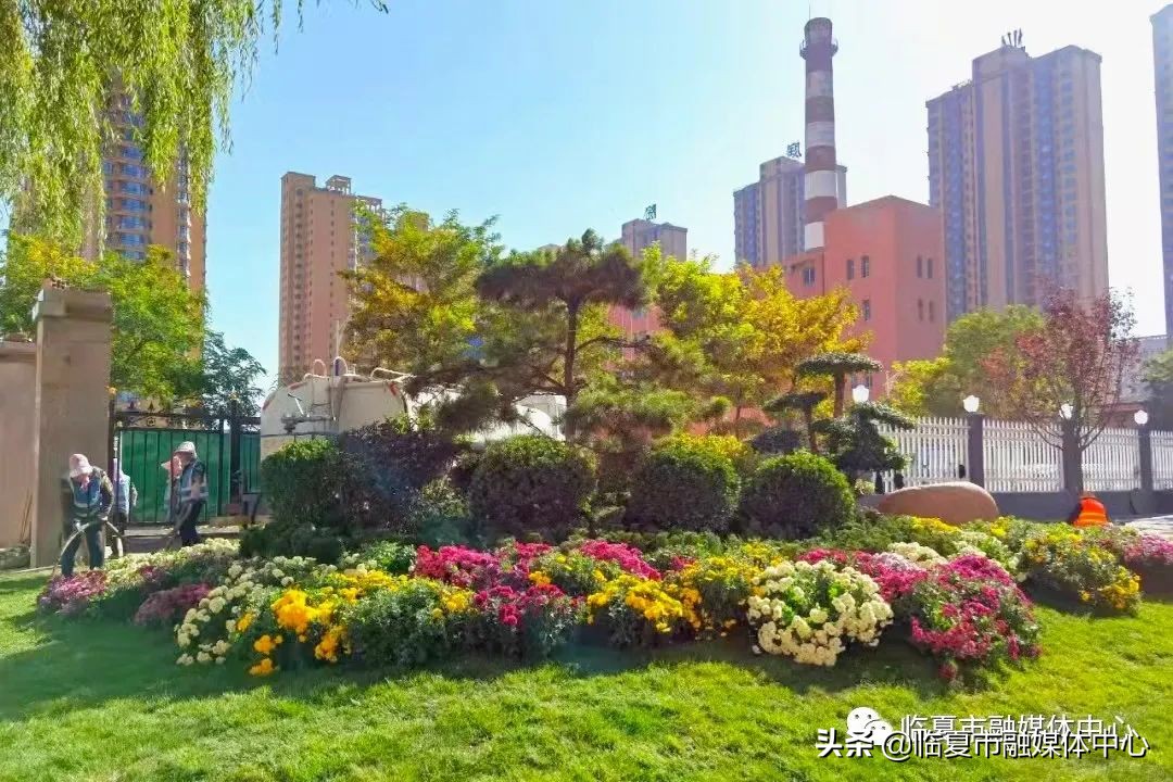 临夏湿地公园建设项目,临夏城市公园绿化工程