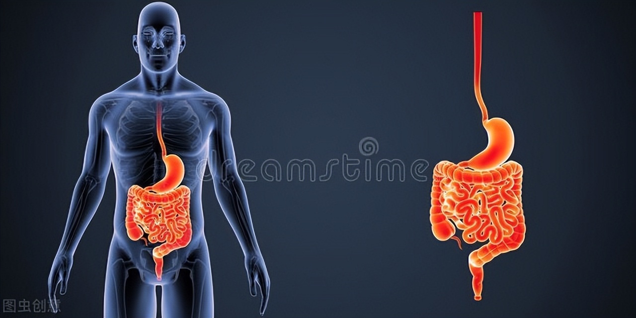 腰硬联合回肠造口术治疗终末期肌萎缩侧索硬化症1例