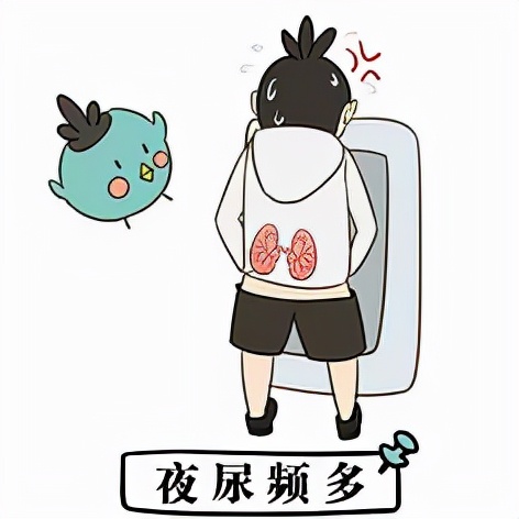 男人肾虚该怎么补肾呢,男人肾虚怎么办中医教你养肾妙招