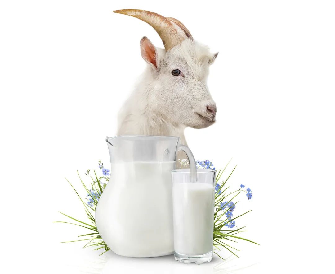 小孩5岁可以喝成人的39吗,5岁以下哪些饮料不能喝