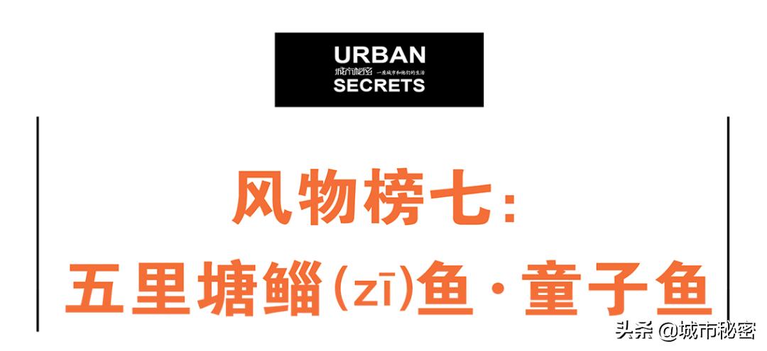 艮山门在拱宸桥北面,杭州艮山门水果市场简介