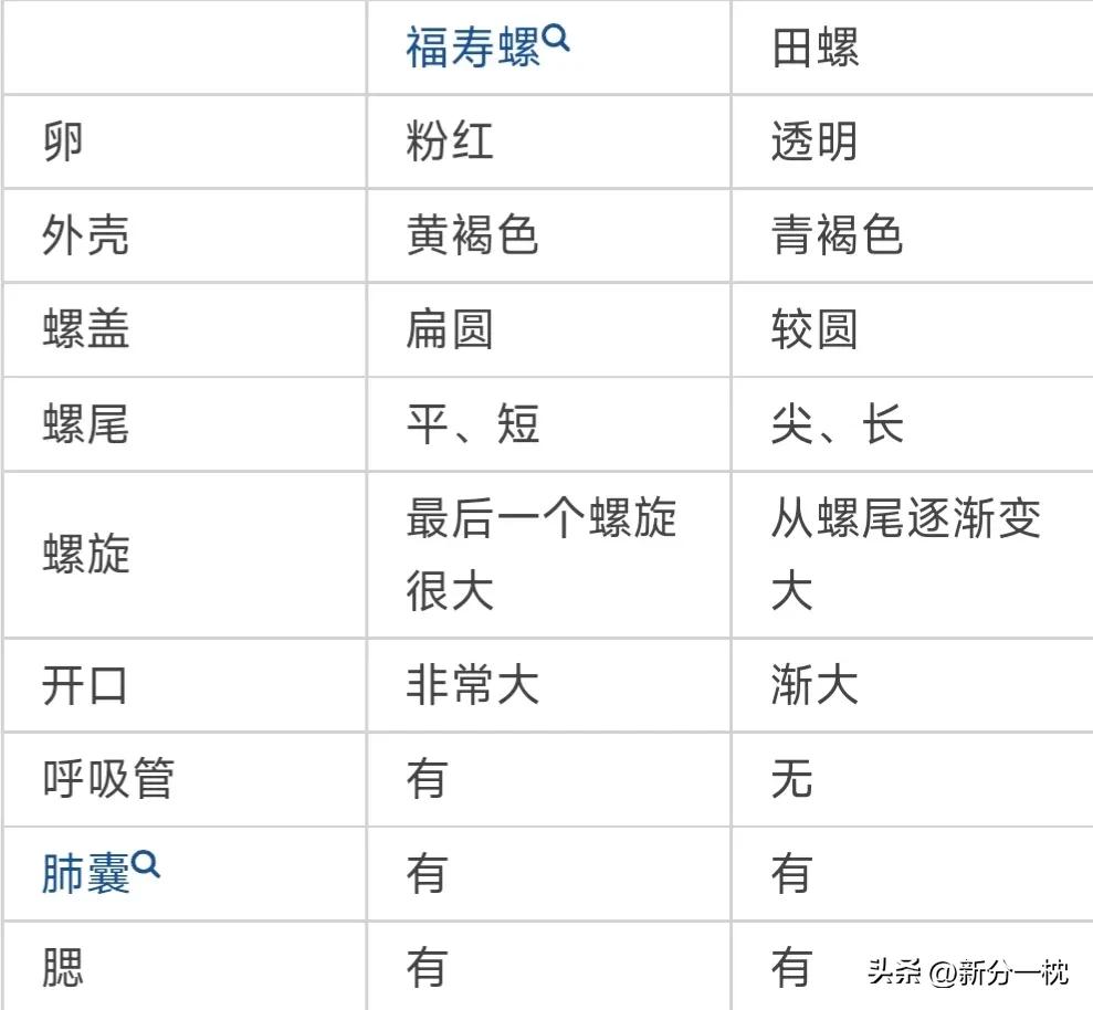福寿螺的寄生虫有多可怕,寄生虫福寿螺