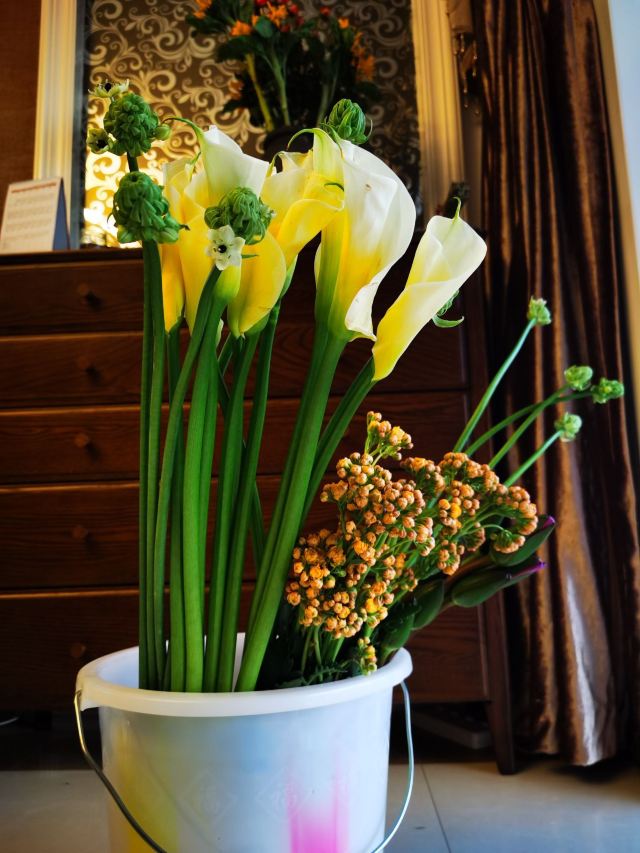 云南旅游攻略昆明旅游攻略,云南昆明旅游攻略