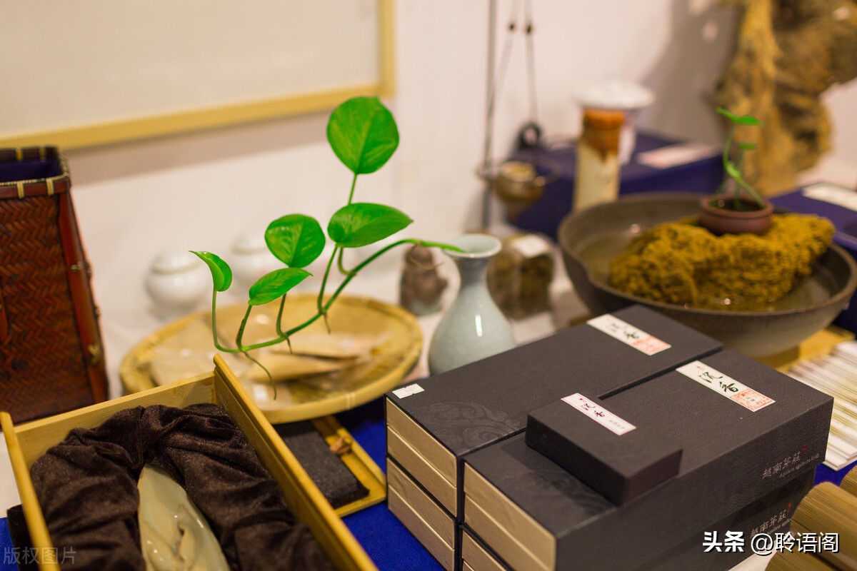 小故事大道理及感悟,受益匪浅小故事大道理