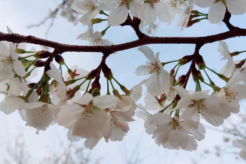如何应对控制欲强的人,控制欲强的人最怕什么