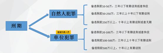 黄埔海关破获雪茄大案,海关查获雪茄案