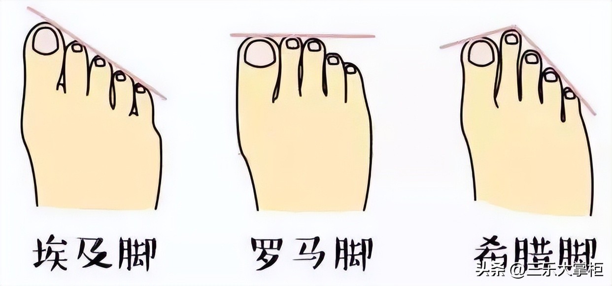 欧美和亚洲女性脚型,女士脚型希腊脚