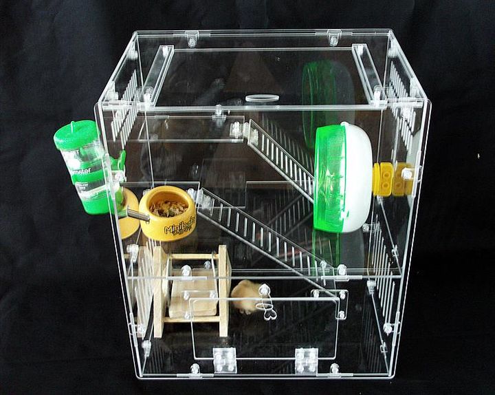 纯新手如何玩lol,纯新手如何玩剑3手游