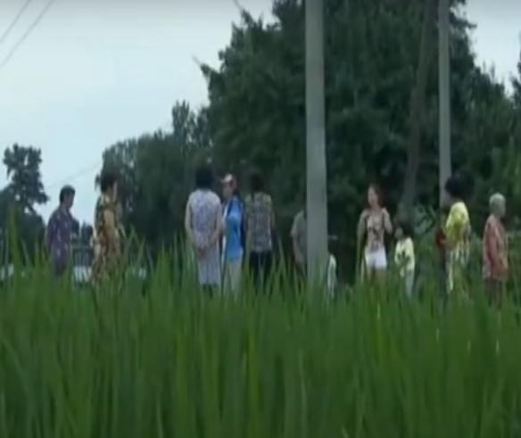 稻田惊现不明生物行动诡异,大山深处不明生物真相大揭秘