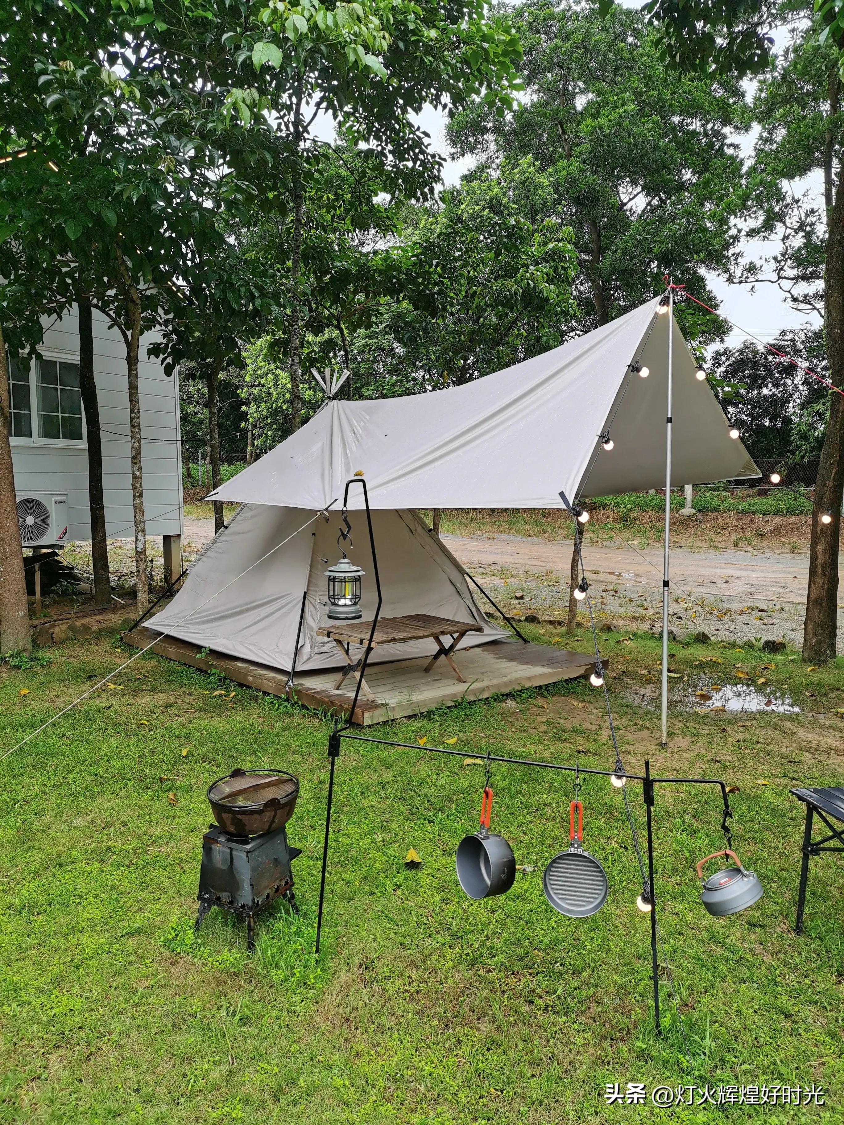 夏日掠影,雨天花开,人见人爱