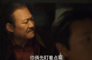 搜救犬起什么名字合适,搜救犬名字怎么取