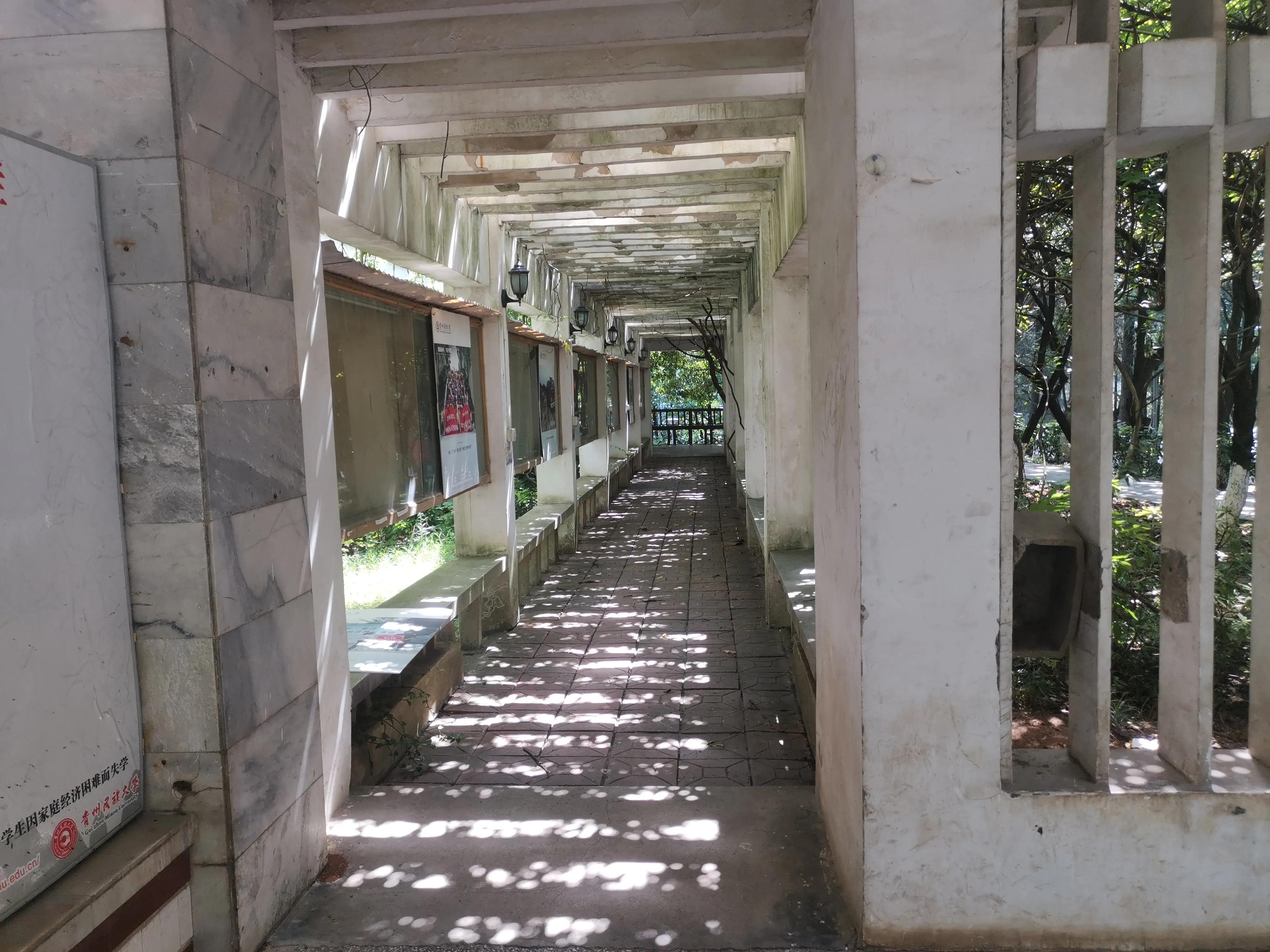 贵州民族大学独有的风景,贵州民族大学游