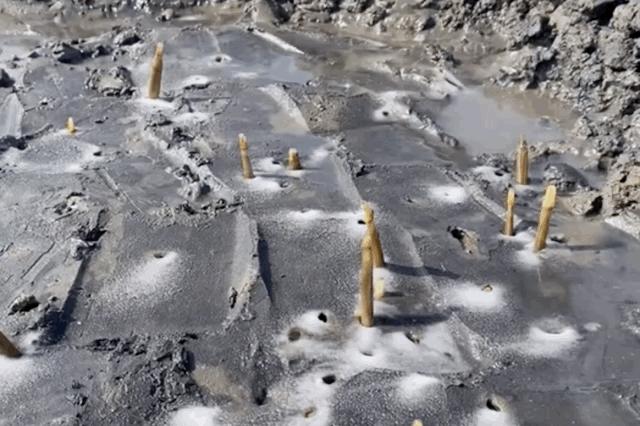 最“土味”的海鲜,这座山东小城吃得有多猛?