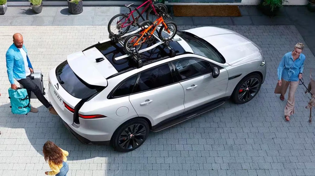 捷豹f-type车头的小豹子,捷豹f-type赛道精神