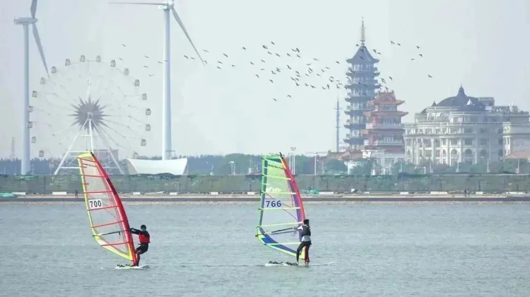 青春飞扬现场表演,市运会赛场上的精彩瞬间