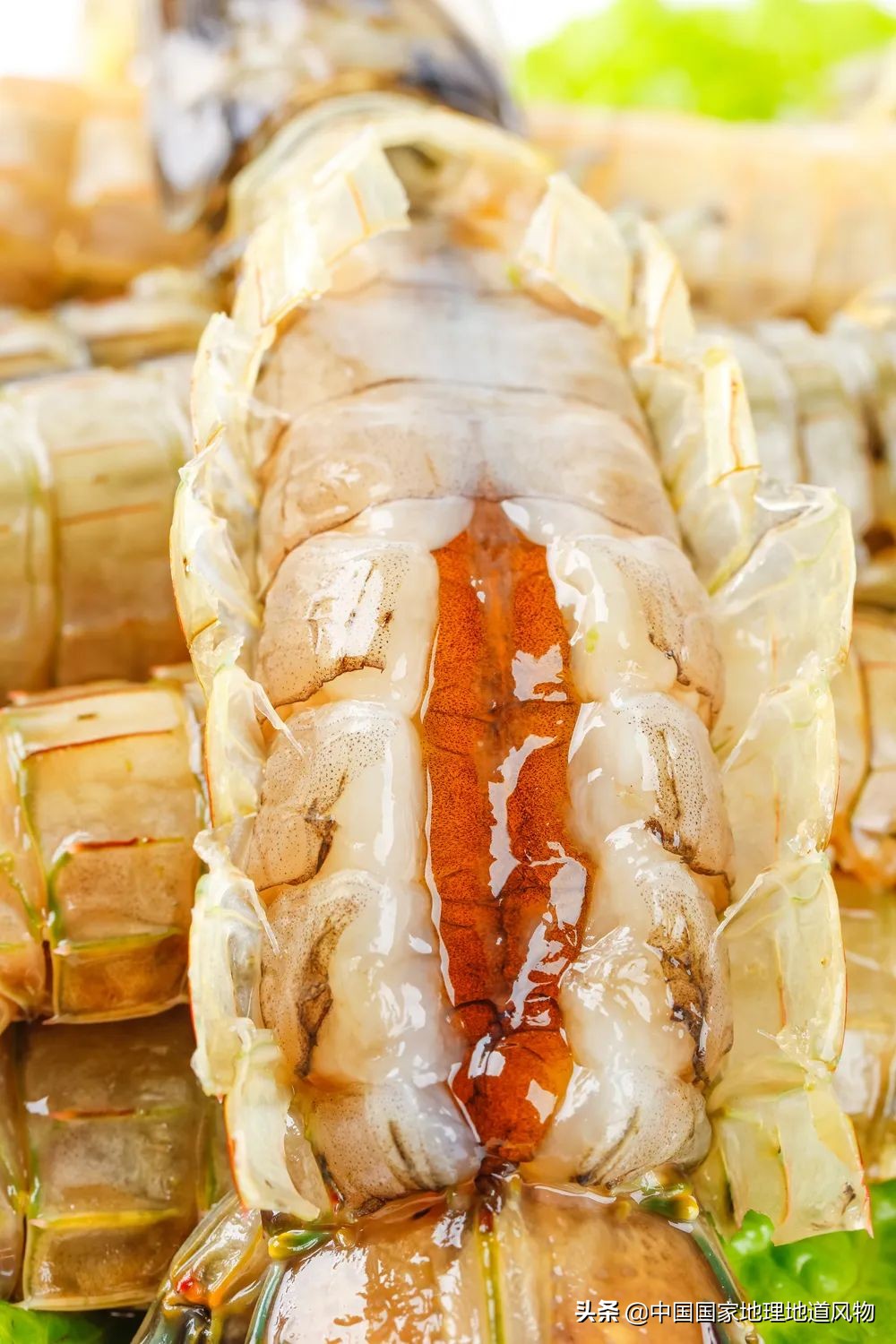 中国哪里可以吃超大皮皮虾,中国吃皮皮虾最好的地方