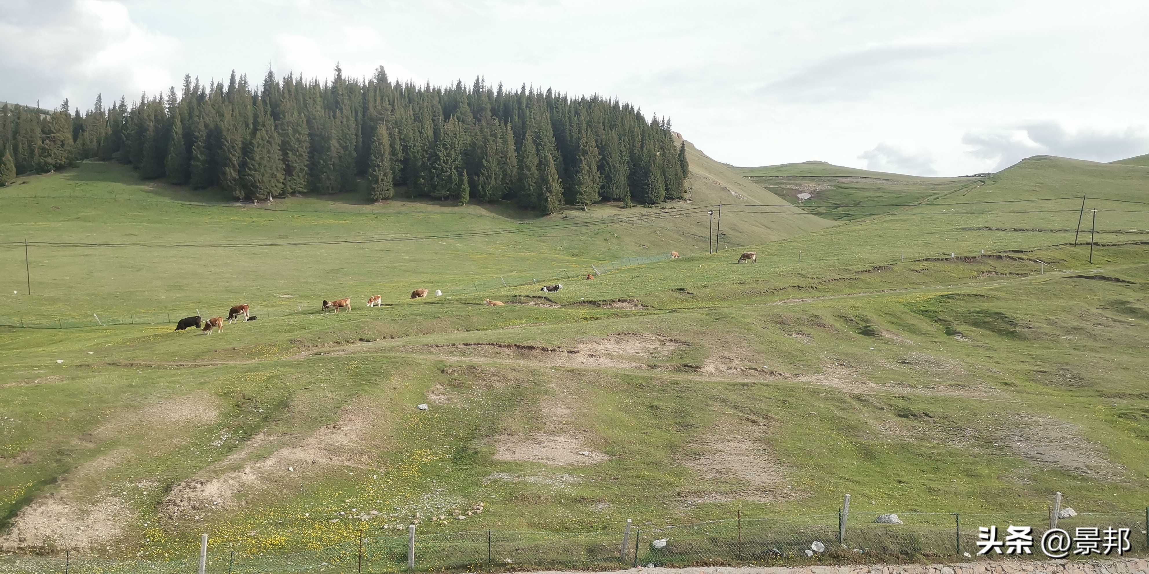 北疆之旅,北疆旅游一日游