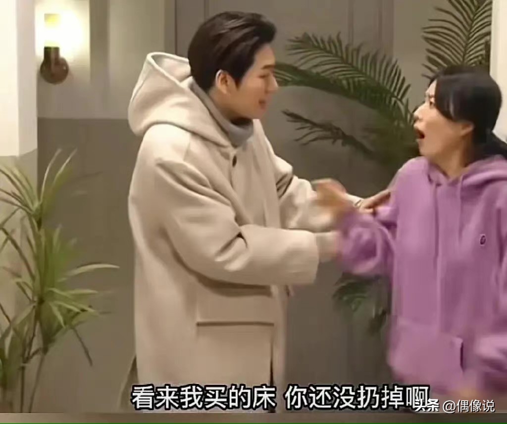 韩综讽刺具俊晔没头发，台剧挖苦大s汪小菲，走出国门方式太讽刺