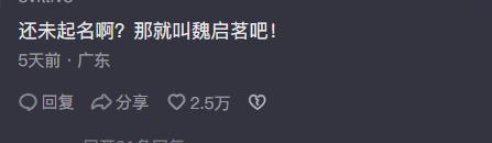 孩子要办出生证明，姓魏，该取什么姓名呢？网友：魏知数，小名x