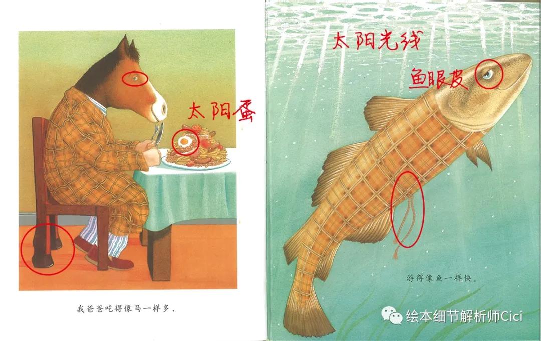 我爸爸精读绘本,我爸爸精读完整