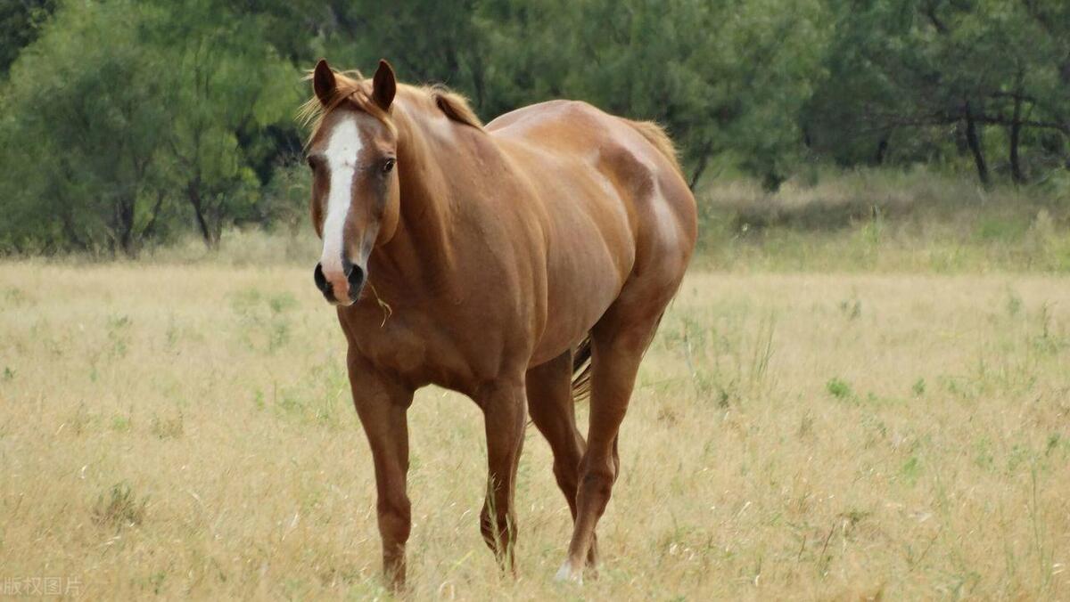 7月10他们一马当先，大吉大利，事业突飞猛进收入高歌猛涨