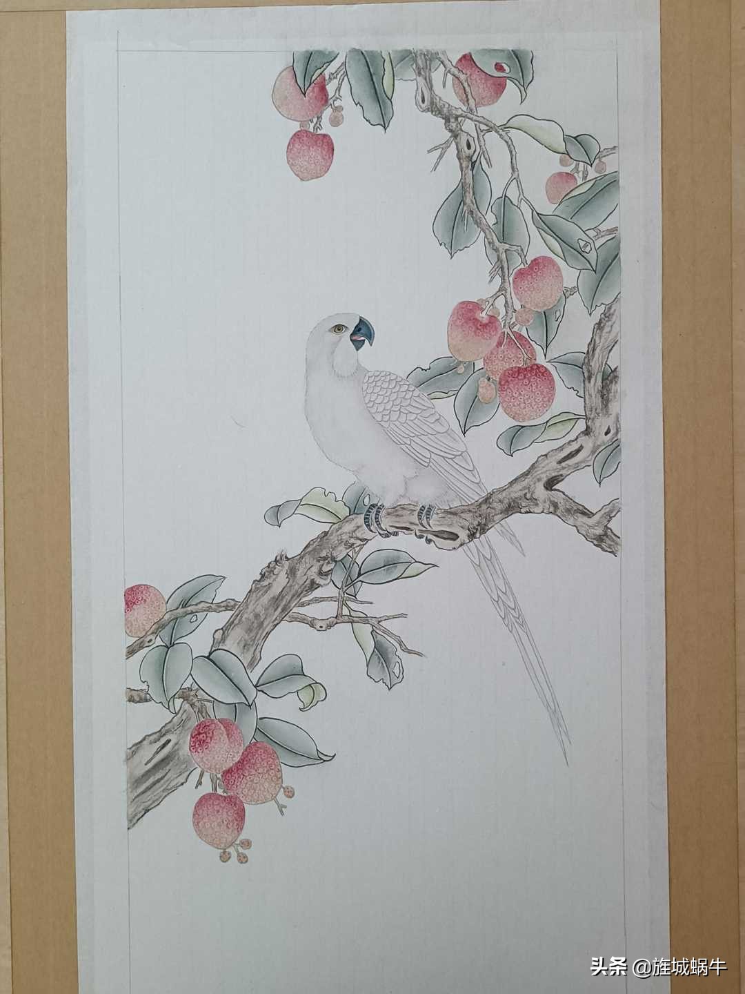 画者笔记|荔枝鹦鹉图绘制记录