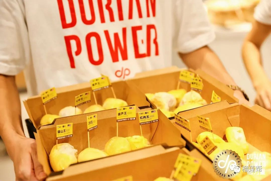 开一个38元榴莲店怎么样,开一家关于榴莲的店