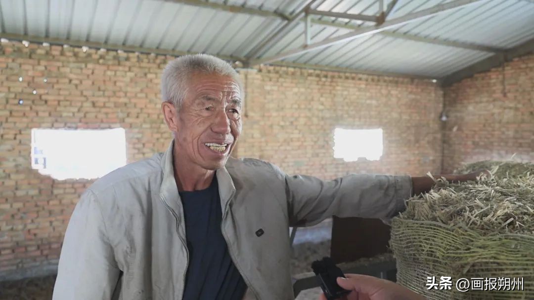 小毛驴赚钱,小毛驴致富路线