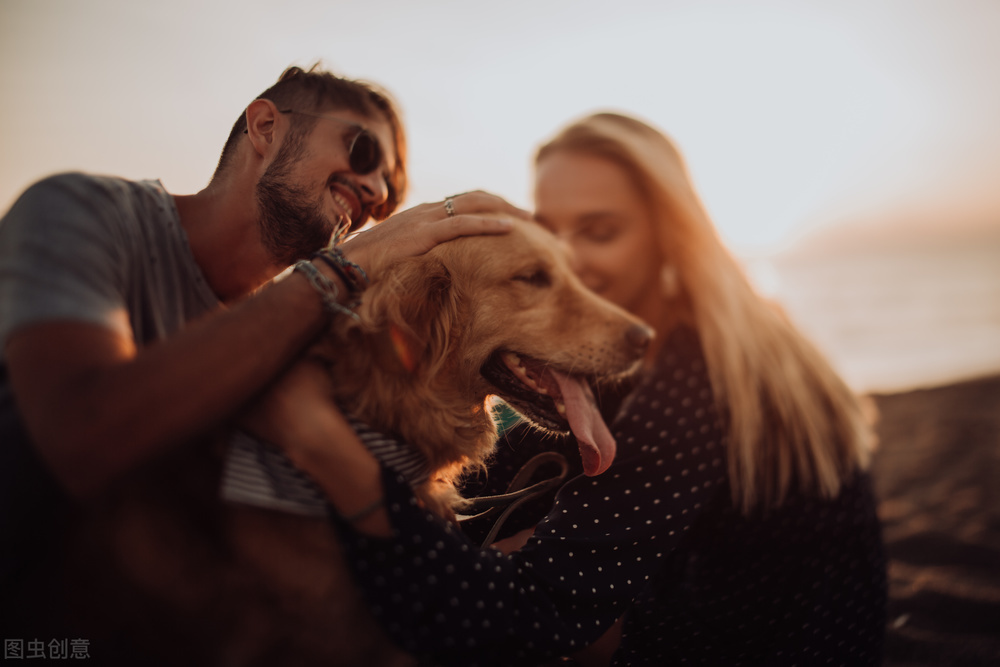 “我有老婆，我虐狗”，为什么单身男同学表示招架不住？