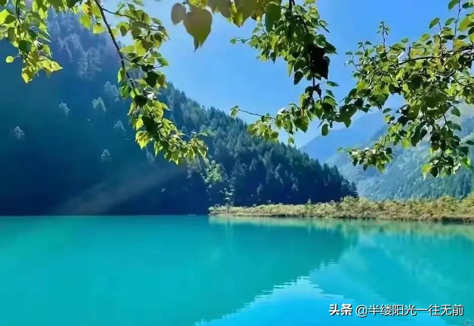 楸煎競涔扮殑姘磋崏閫犳櫙,楸煎競涔板洖鐨勬按鑽夊吇涓嶆椿