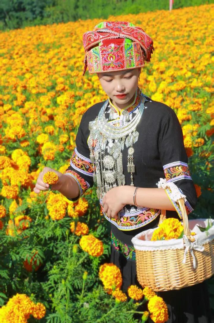 中国五十六个民族服饰,五十六个民族代表服饰图片