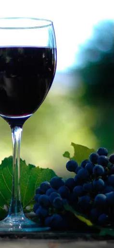 红酒壁纸文化墙贴,红酒壁纸高清4k