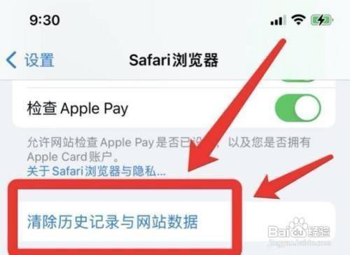 苹果如何删除浏览记录,苹果11怎么删除浏览过的页面
