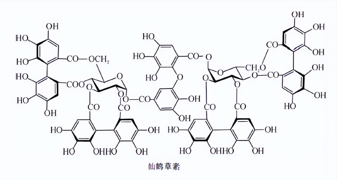 鞣质草药,黄芪的主要成分为鞣质和挥发油