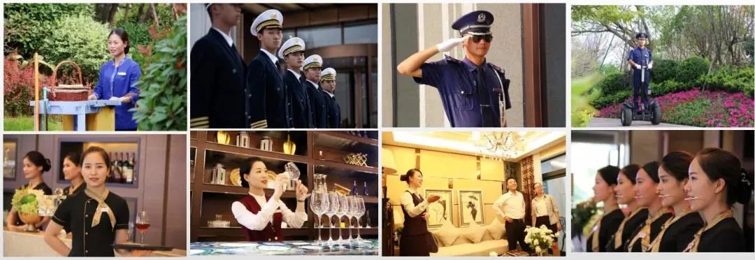 丝绸小镇最新招聘信息,高县丝绸产业园最新招聘