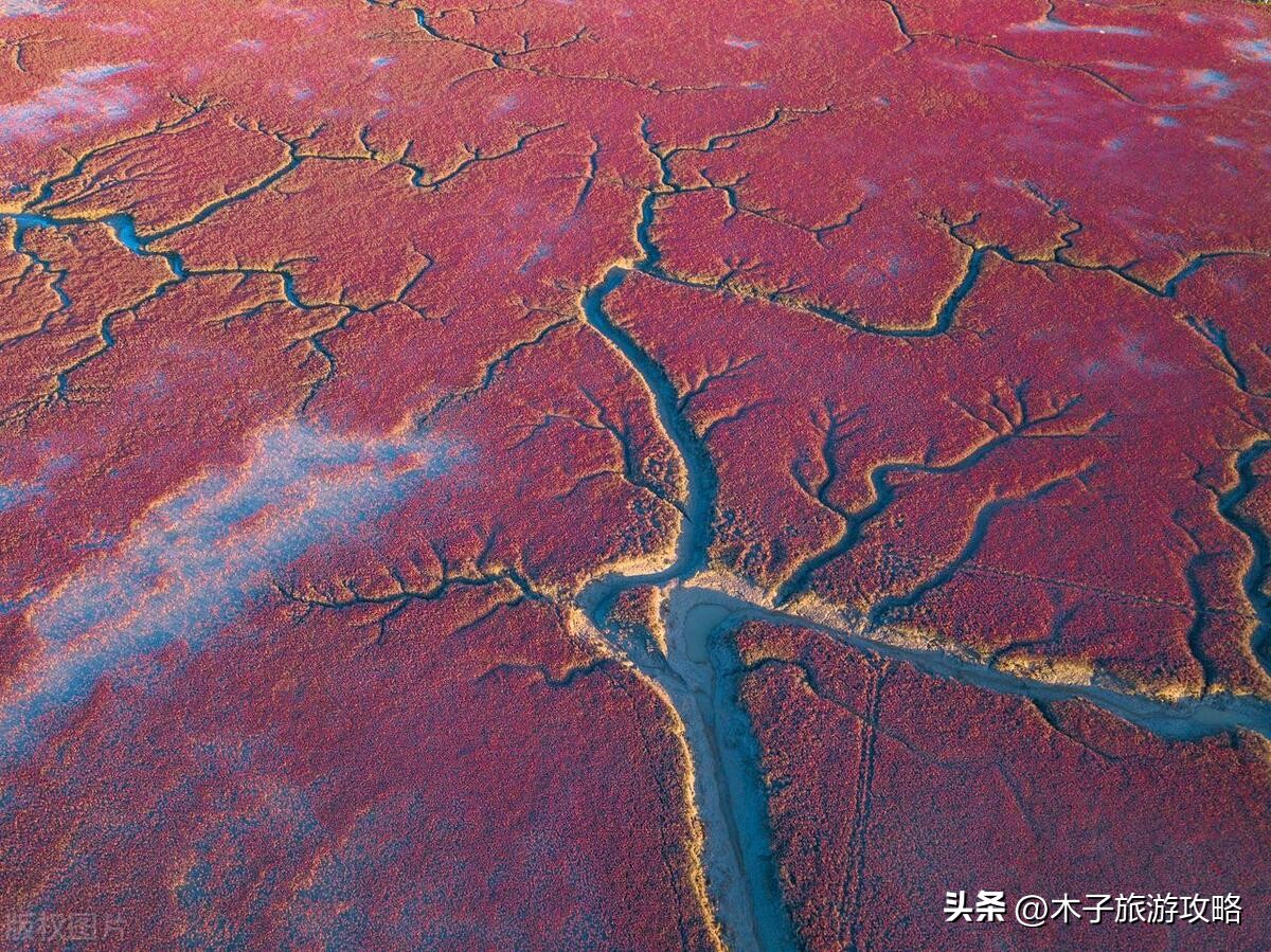 盘锦红海滩游玩攻略一日游,盘锦红海滩风景区游玩攻略