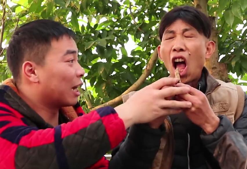 歪厨子余小二央视,歪厨子余小二靠啥爆火