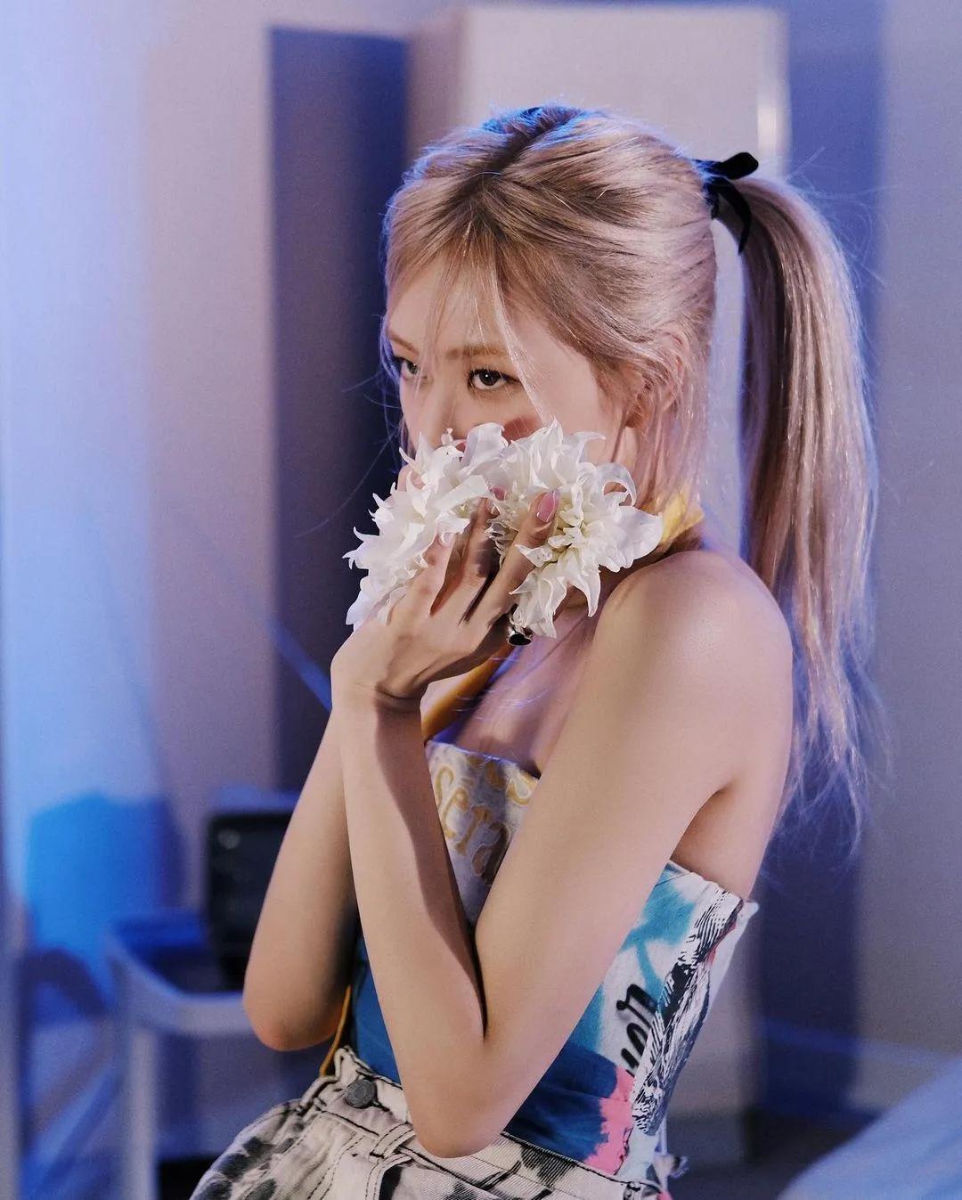 rosa澳洲野玫瑰,澳洲rose野玫瑰