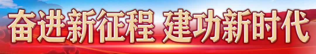 连队党建引领基层治理,乡村振兴基层党建工作专项规划