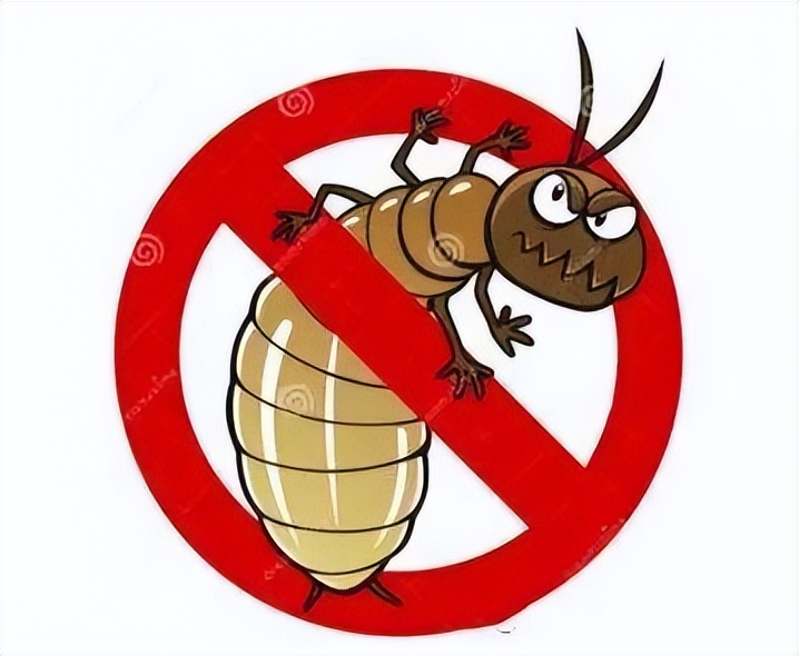 中山正规的珠海白蚁预防推荐,一年的绿化树木如何预防白蚁