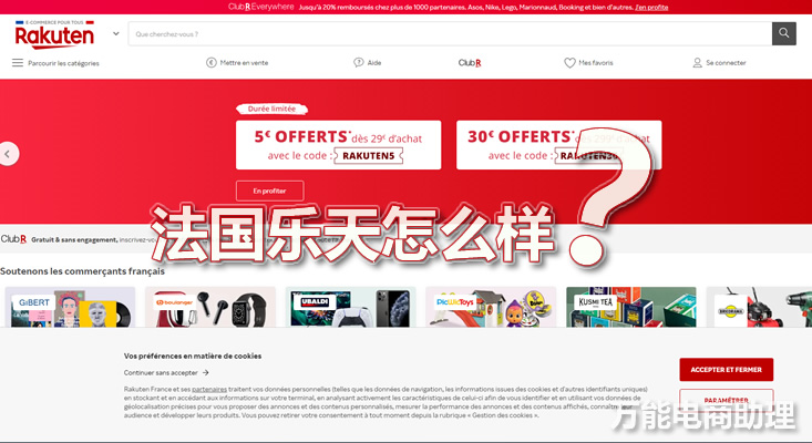 法国乐天平台什么货好卖,法国乐天上架产品