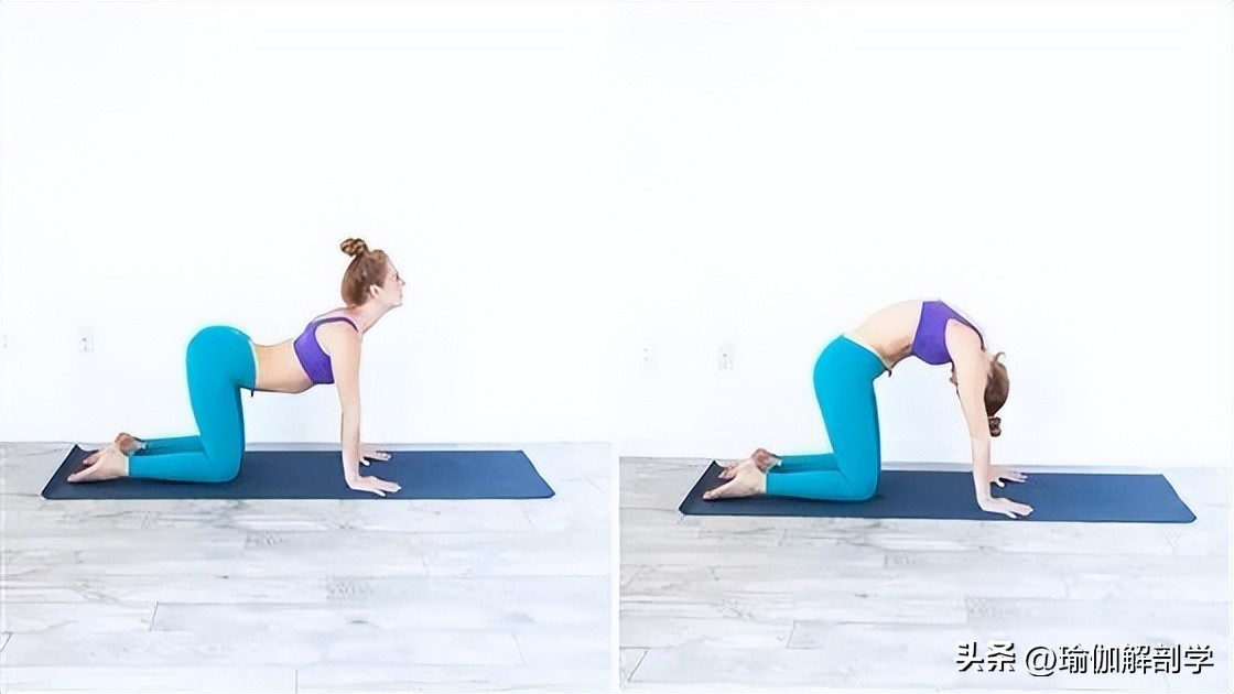 初学者减脂动作简单瑜伽,减脂流瑜伽体式讲解和功效