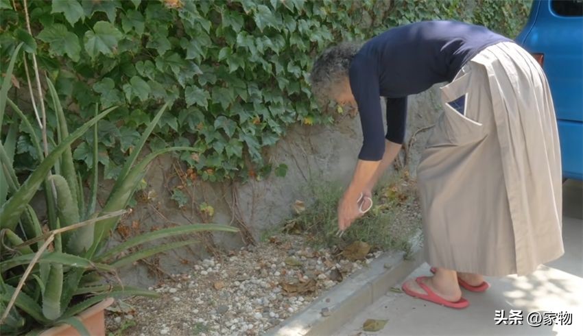 日本家庭主妇一天做多少小时家务,日本家庭主妇凌晨5点做家务