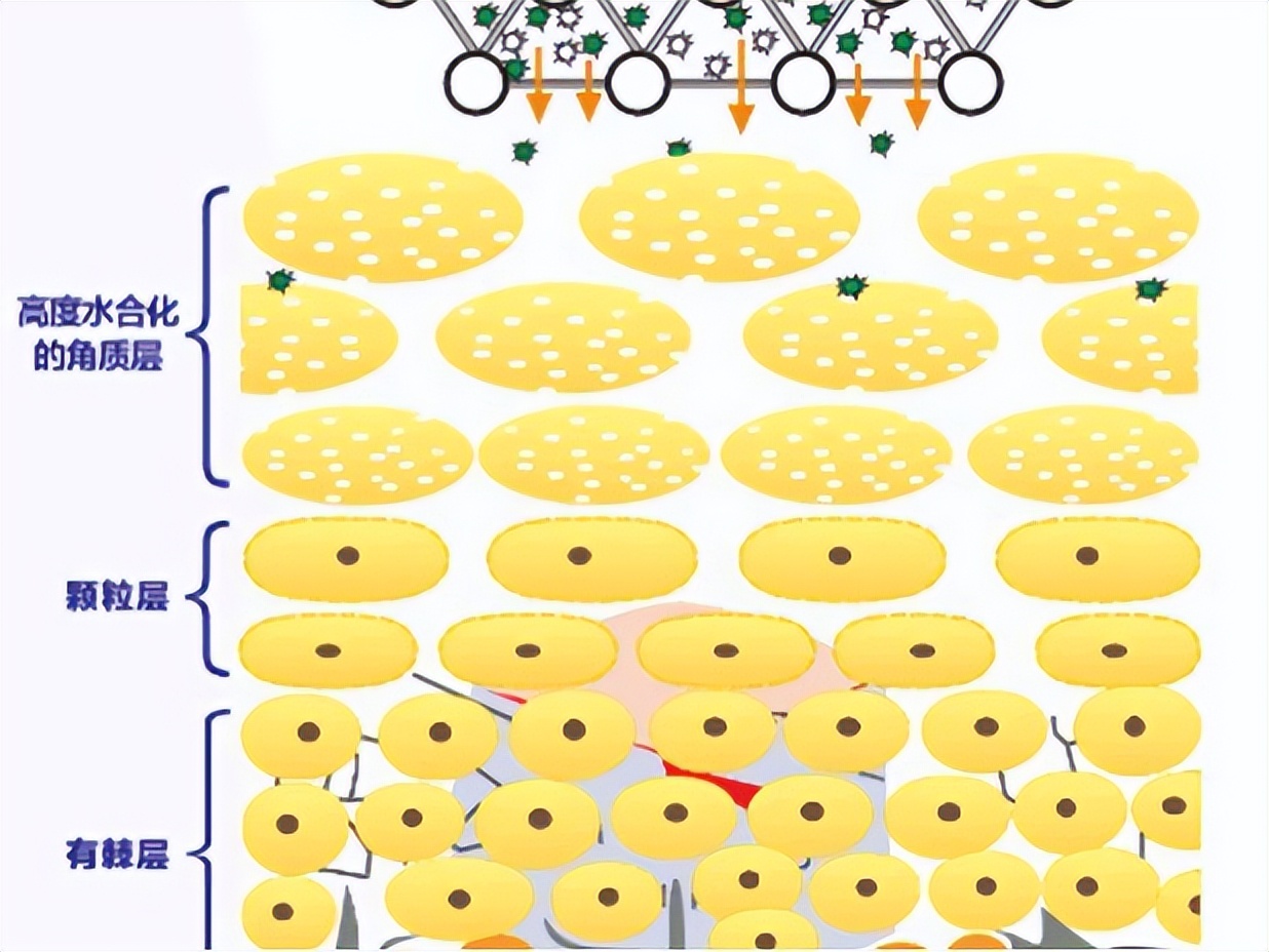 治疗毛孔粗大黑头的面膜,黑头用撕拉面膜毛孔粗大